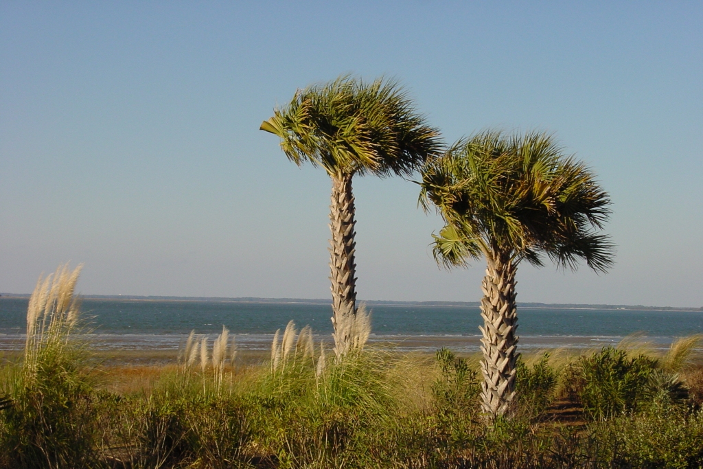 hilton-head-plantation-hilton-head-360